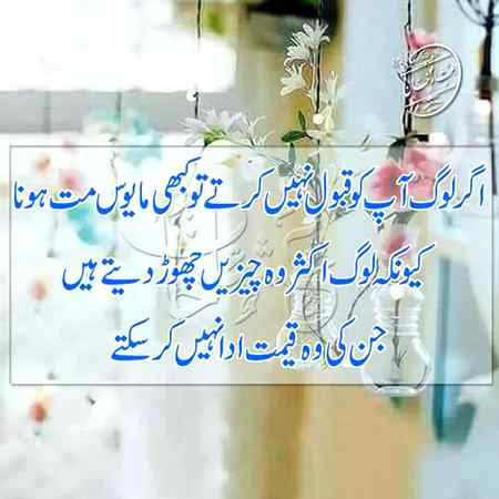 hlo friends