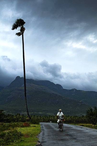 Amaizing dhondhly🔥🔥