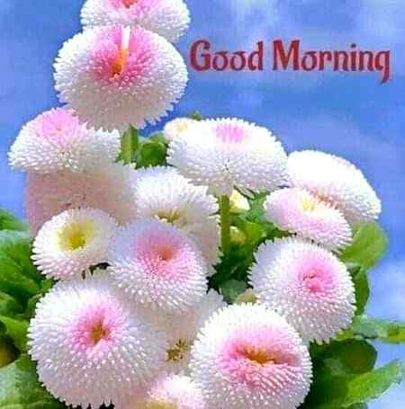 💕💕Morning💕💕