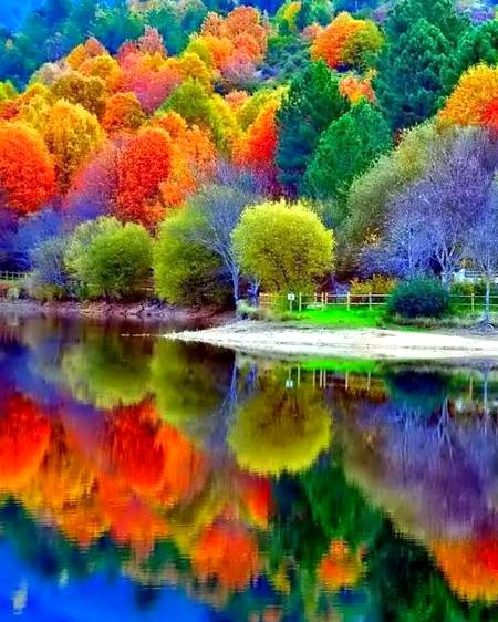 Beauty of nature