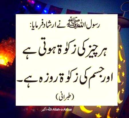 🌹🌹🌹صلی اللہ علی حبیبہ محمد نور من نوراللہ وعلی آلہ واہل بیتہ وعترتہ وازواجہ وصحبہ وجدہ وذریتہ و کل امتہ وبارک وسلم کثیراً کثیرا و دائماً ابدا 🌹🌹🌹