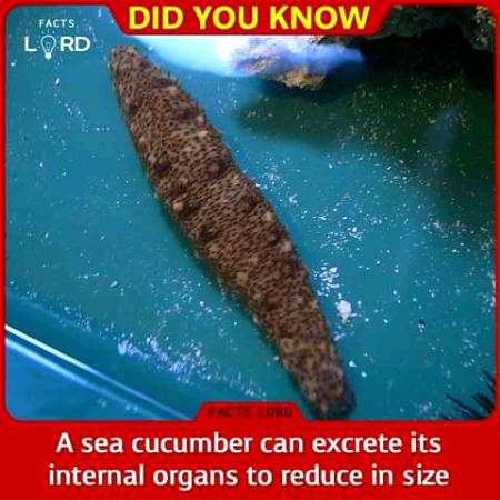 Unbelievable facts 💥💥