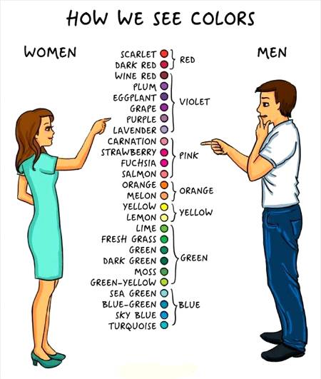 Women Vs men____fun substance