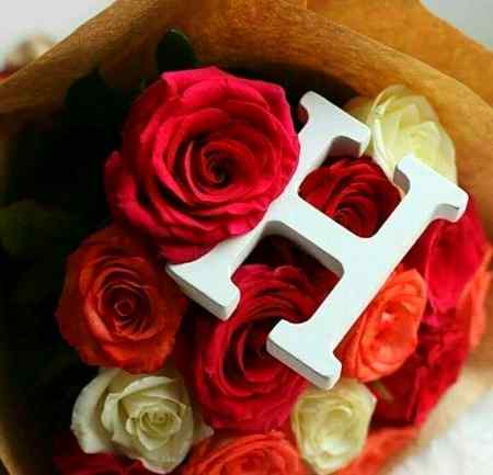 💞👊..عادتیں خراب نہیں میری..🌹😜 بس شوق زرا نرالے ہیں