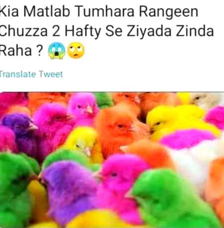 Ya mutlab ki dunna ha