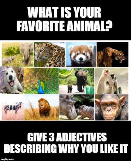 What is your favorite animal??