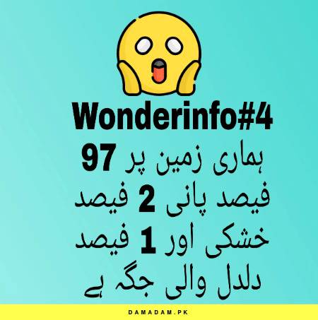 Wonderinfo_4