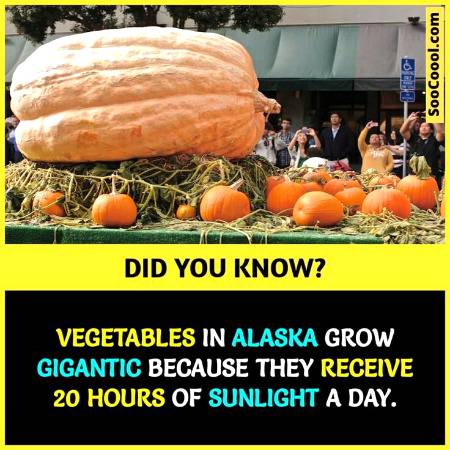 DID YOU KNOW??