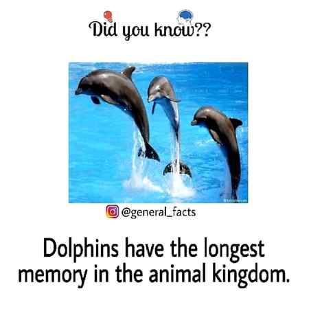 Did you know??!🤔