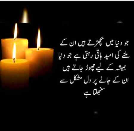 ✔Right💯%