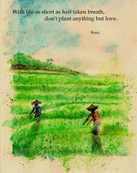 RUMI'S WORDS