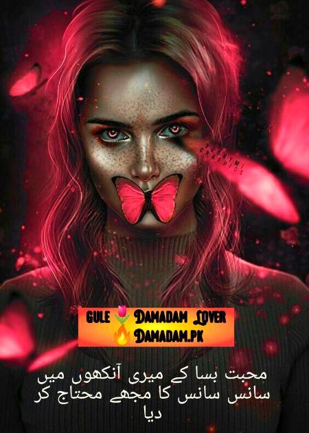gule🌹Damadam Lover🔥