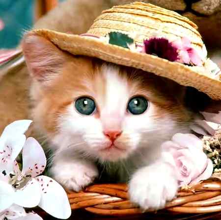 How cute 😍😘