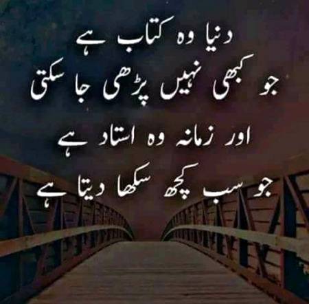 دنیا وہ کتاب ہے جو کبھی نہیں پھڑی جاسکتی