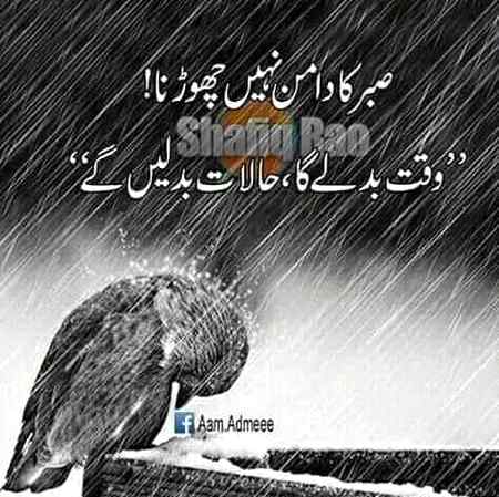 Sending by fareed ahmed shaikh