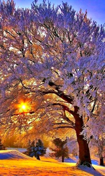 Amazing ✌