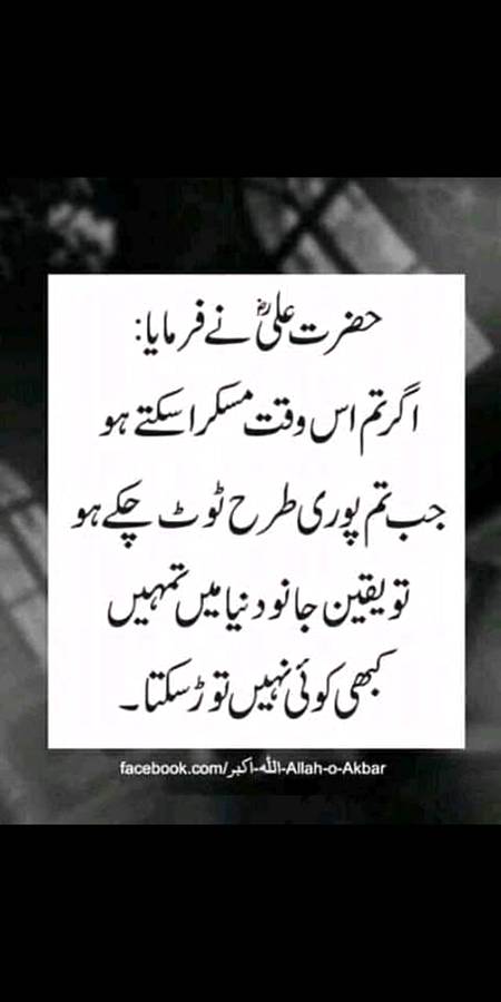 Yaah Ali❤️❤️