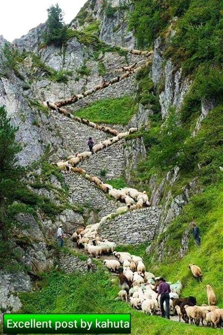 Amzing like zaror kari