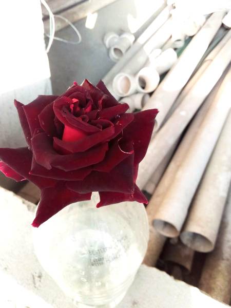 ye aapky liye  hai F