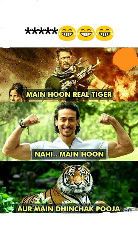 Main hon real tiger
