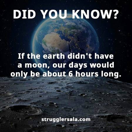 DID YOU KNOW??