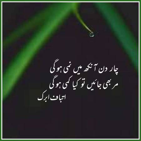 چار دن آنکھ میں نمی ہو گی
مر بھی جائیں تو کیا کمی ہو گی

فرق اتنا ہے جینے مرنے میں
اُس گھڑی سانس بھی تھمی ہو گی

میں ہوں وہ آئینہ جسے ہے گماں
کوئی صورت تو آدمی ہو گی

بعد رخصت بھی دیکھ لینا تو
زیست تجھ پر نظر جمی ہو گی

اک ہی صورت نباہ کی ہے یہاں
گر ضرورت یہ باہمی ہو گی

یہ خدا کا نظام ہے کہ خوشی
عارضی ہو گی موسمی ہو گی

لفظ ابرک کے سب ہیں نم لیکن
ان کی تاثیر شبنمی ہو گی