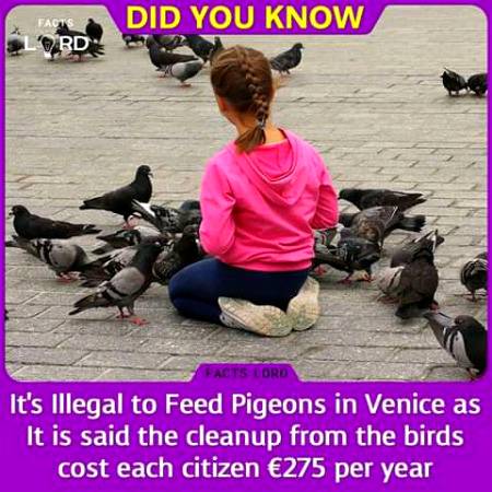 Unbelievable facts 💥💥