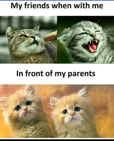 My friends and parents