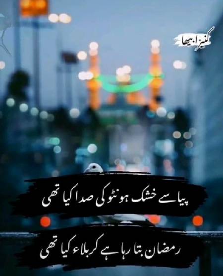Beshk 💕🌹