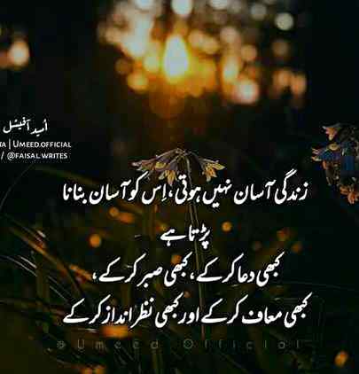 ❤🌹❤🌹❤🌹🌹🌹❤❤❤🌹🌹🌹🌹❤