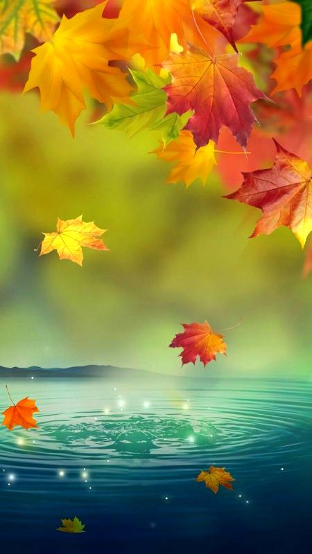 🔥🔥Autumn wallpaper🔥🔥