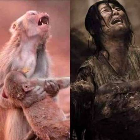 رشتے انسانوں کے ھوں یا حیوانوں کے
جب ٹوٹ جائیں تو دل خون کے آنسو روتا ھے،.😭😭😭