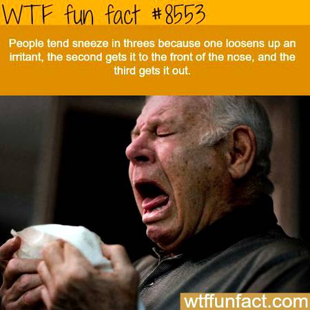 WTF fun fact