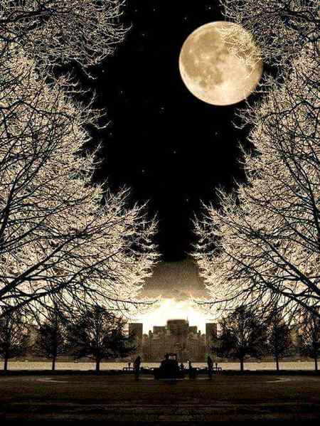 _" اصلاح یہ ہے کہ یہ سب فانی ہے، فانی چیزوں کے لیے نہ روئیں نہ چلائیں ،نہ تکلیف میں رہیں، خدا نے اشرف المخلوقات بنا کر جو شرف دیا ہے اسے واویلوں کی نظر نہ کریں
