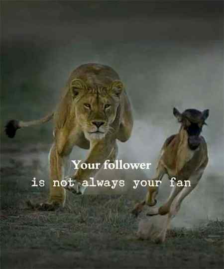 Yes ABSOLUTELY RIGHT👌👍👍😋