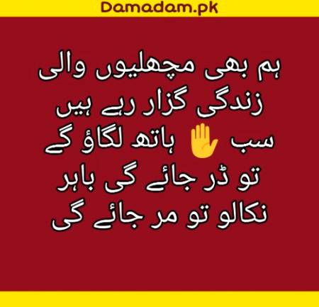 ہم بھی مچھلیوں کی طرح زندگی گزار رہے ہیں