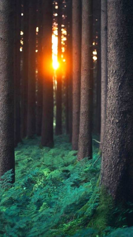 راستہ اور منزل اگر ہم خود اپنے لیے اچھے چاہتے ہیں تو راستہ بھی وہی ملے گا جو اچھائی کی طرف جاتا ہے اگر ہم خود کے لیے برا چاہتے ہیں تو راستہ بھی وہی ملے گا جو برائی کی طرف جاتا ہے۔۔۔۔۔۔پر انسان کو اپنے اندر کی سماعت سننی جائیے اللہ تعالیٰ ظاہری طور پر سبب بھی پیدا کرتا ہے تم برائیوں سے بچ جاؤ اور میری طرف لوٹ آؤ یہی حقیقت ہے