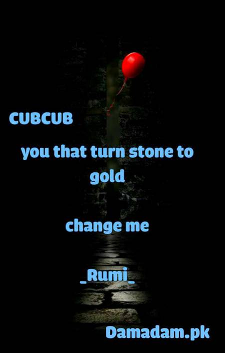 Rumi's words