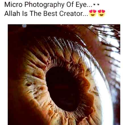 Indeed Allah is the best creator💜