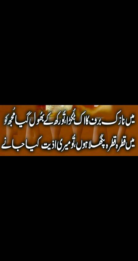 ❤🌹❤🌹❤🌹❤🌹🌹🌹🌹❤🌹❤🌹