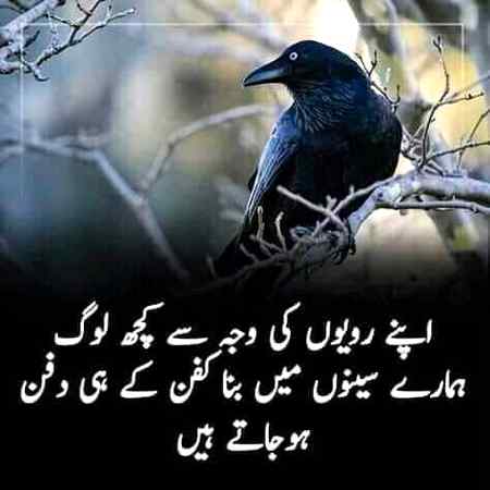 AssaLaM o AlaiKuM