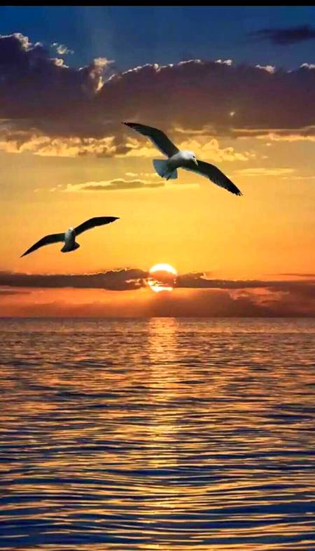 Amazing 👌🏻 view sunset 🔥