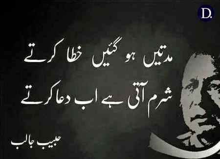 hlo friends