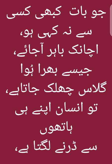 WhatsApp status 💀