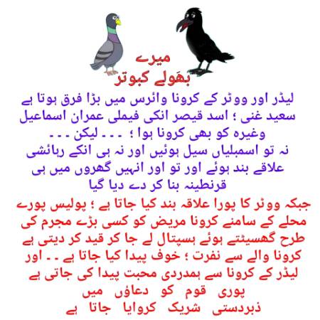 بہولے کبوتر