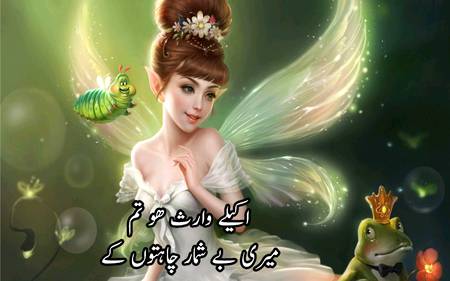 اکیلے وارث ہو تم