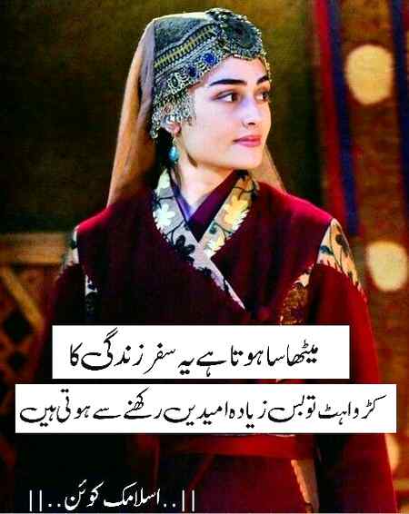 Hmmmm Bilkul💯✅..😐