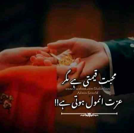 Evening ❤️❤️