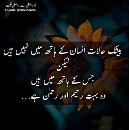💕💕Zoq_Shab💕💕