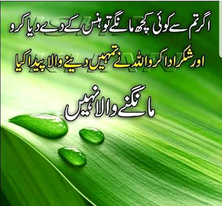 الله کا شکر ادا karo